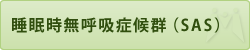 睡眠時無呼吸症候群(SAS)
